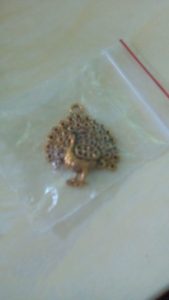antique gold peacock pendant