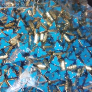 Triangle Kundans Matt light blue – 10 grams